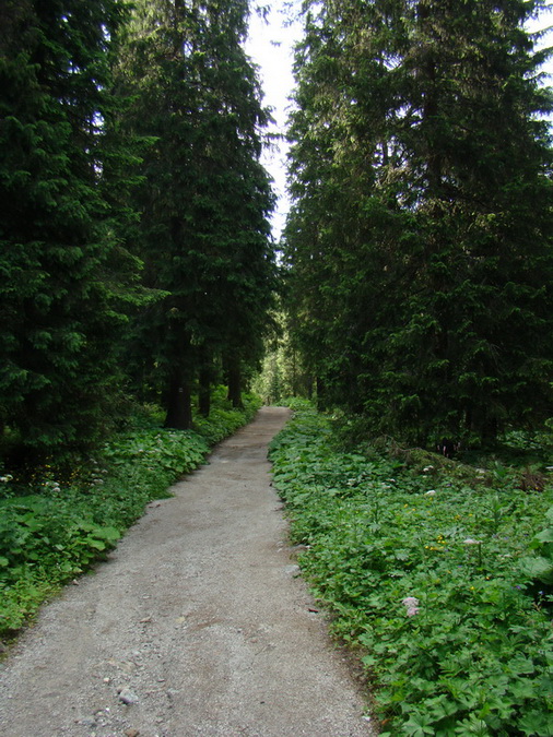 Kopské sedlo (Belianske Tatry)