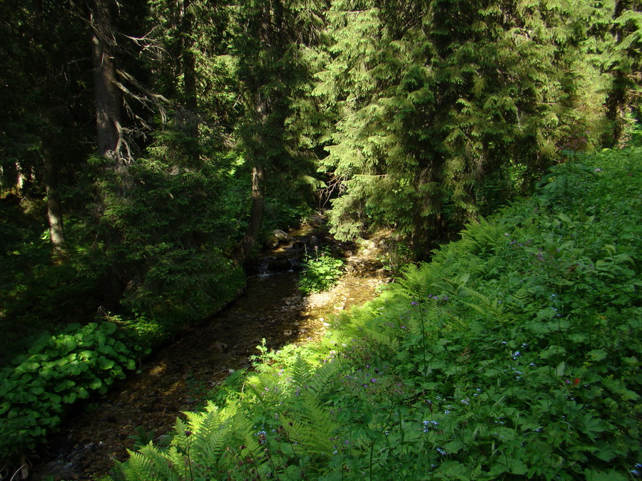 Kopské sedlo (Belianske Tatry)