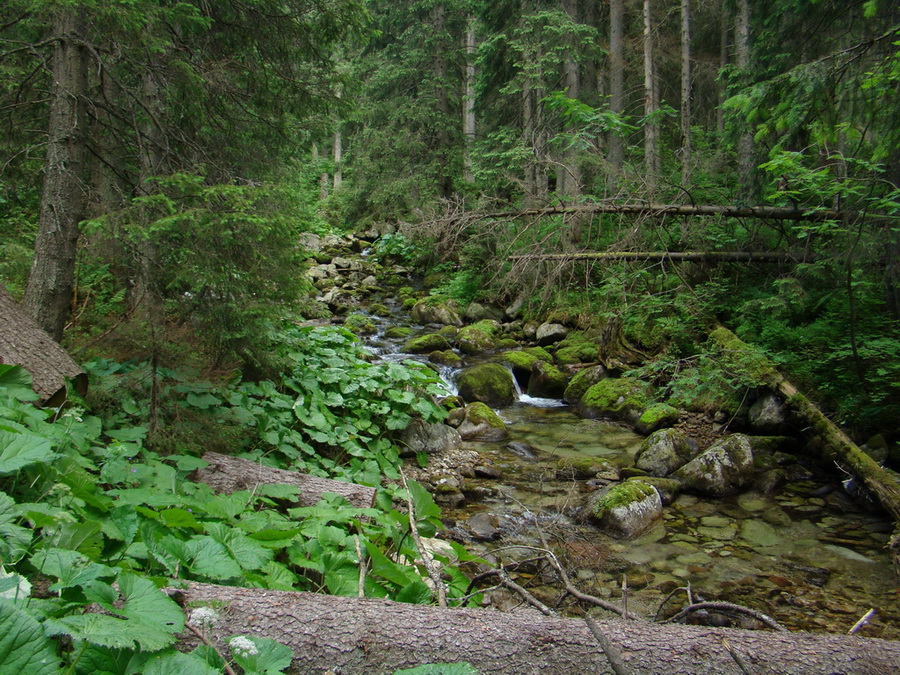 Kopské sedlo (Belianske Tatry)