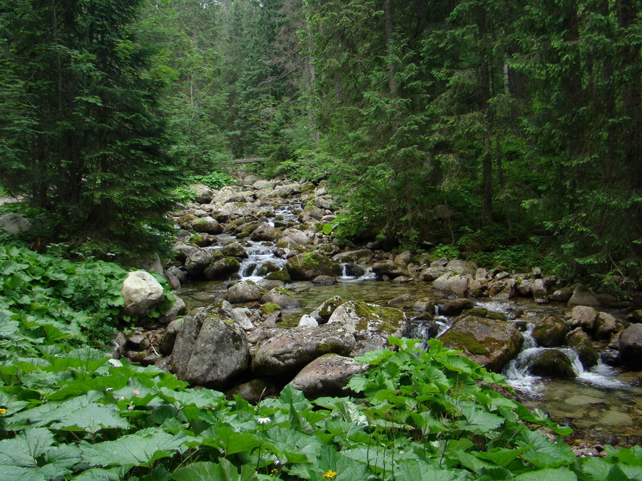 Kopské sedlo (Belianske Tatry)