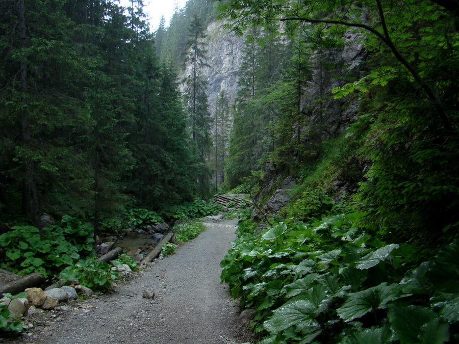 Kopské sedlo (Belianske Tatry)