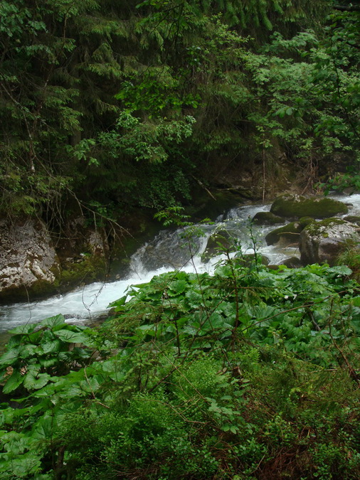 Kopské sedlo (Belianske Tatry)