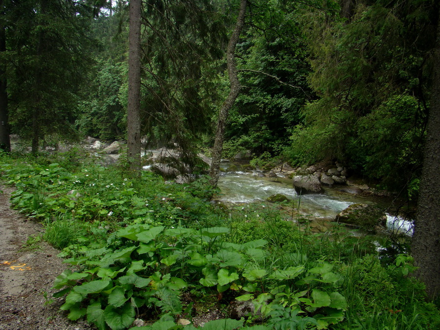 Kopské sedlo (Belianske Tatry)