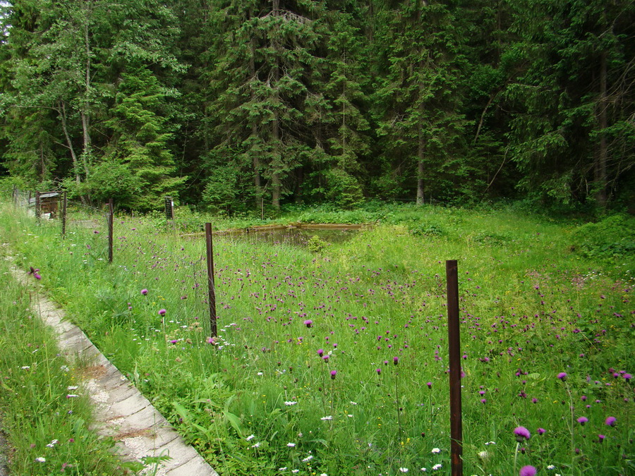 Kráľova hoľa z Vernára (Nízke Tatry)