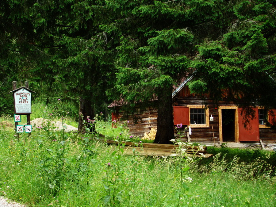 Kráľova hoľa z Vernára (Nízke Tatry)