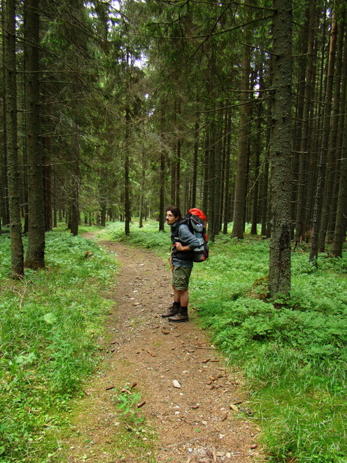 Kráľova hoľa z Vernára (Nízke Tatry)