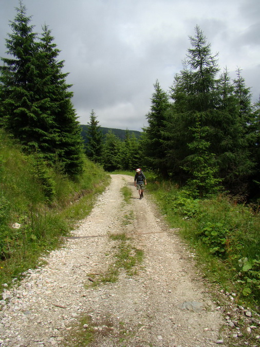 Kráľova hoľa z Vernára (Nízke Tatry)