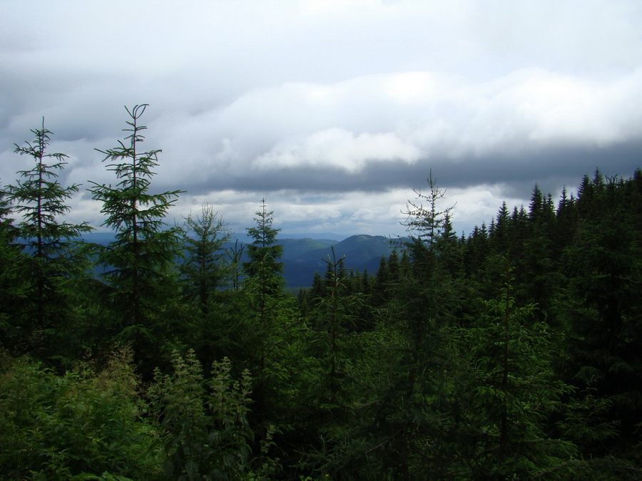 Kráľova hoľa z Vernára (Nízke Tatry)