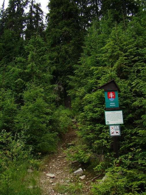 Kráľova hoľa z Vernára (Nízke Tatry)