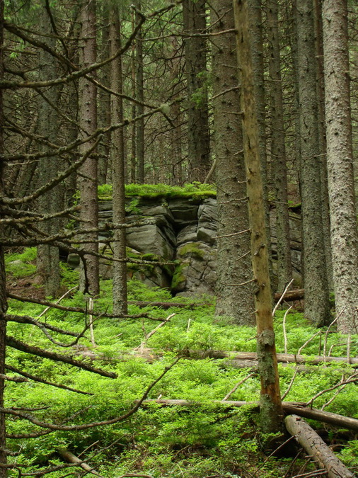 Kráľova hoľa z Vernára (Nízke Tatry)