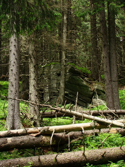 Kráľova hoľa z Vernára (Nízke Tatry)