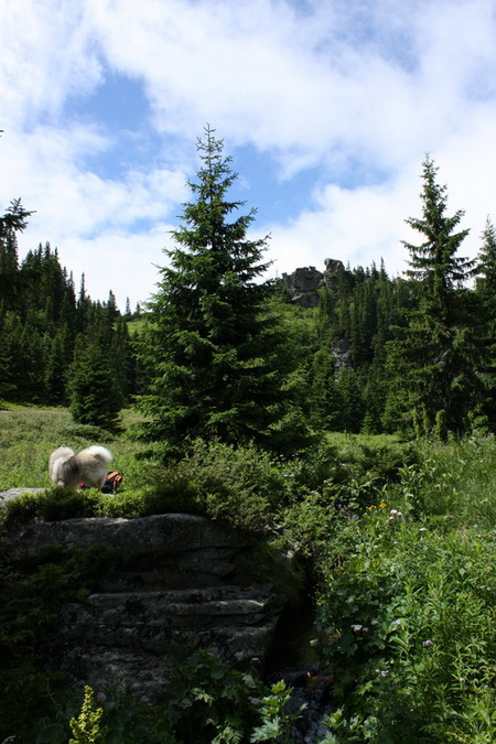 Kráľova hoľa z Vernára (Nízke Tatry)