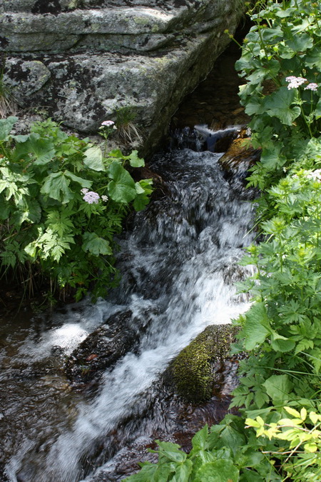 Kráľova hoľa z Vernára (Nízke Tatry)