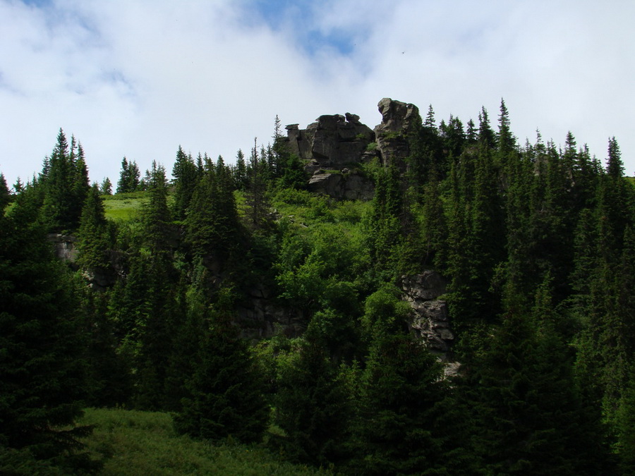 Kráľova hoľa z Vernára (Nízke Tatry)