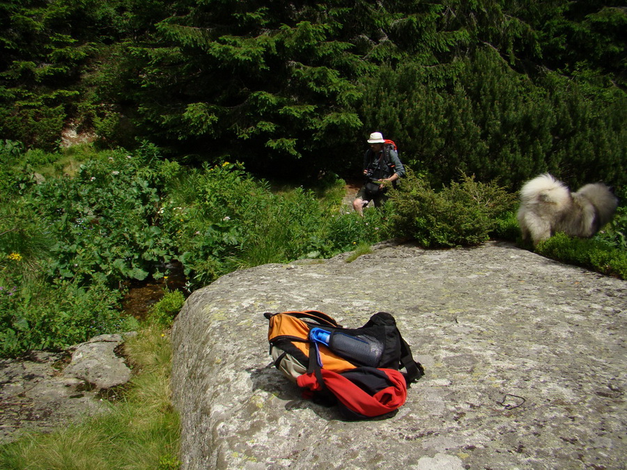 Kráľova hoľa z Vernára (Nízke Tatry)