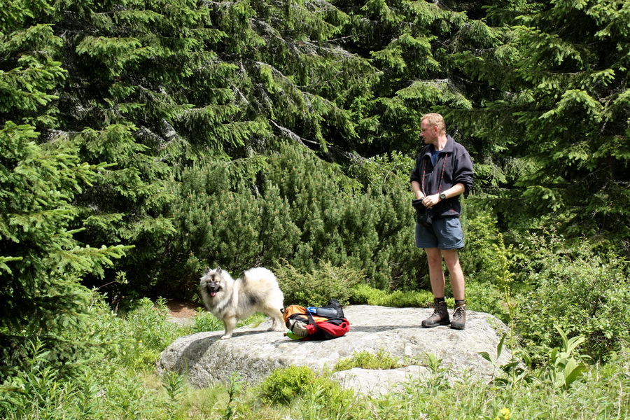 Kráľova hoľa z Vernára (Nízke Tatry)