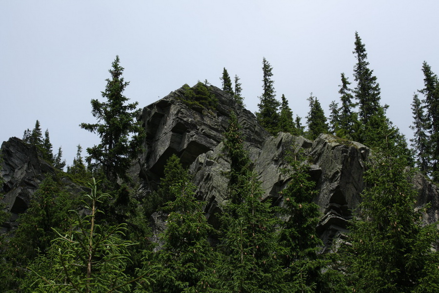 Kráľova hoľa z Vernára (Nízke Tatry)