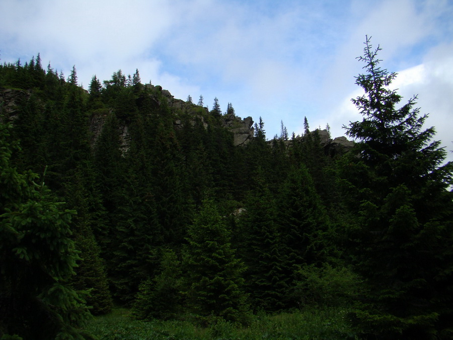 Kráľova hoľa z Vernára (Nízke Tatry)