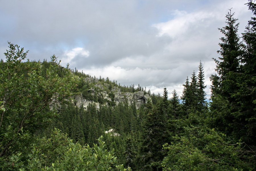 Kráľova hoľa z Vernára (Nízke Tatry)