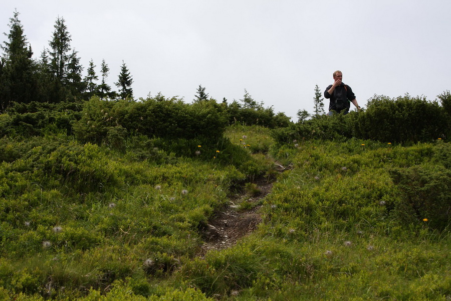 Kráľova hoľa z Vernára (Nízke Tatry)