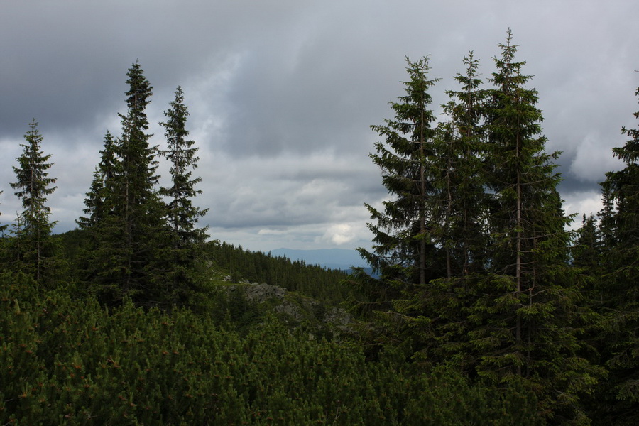 Kráľova hoľa z Vernára (Nízke Tatry)