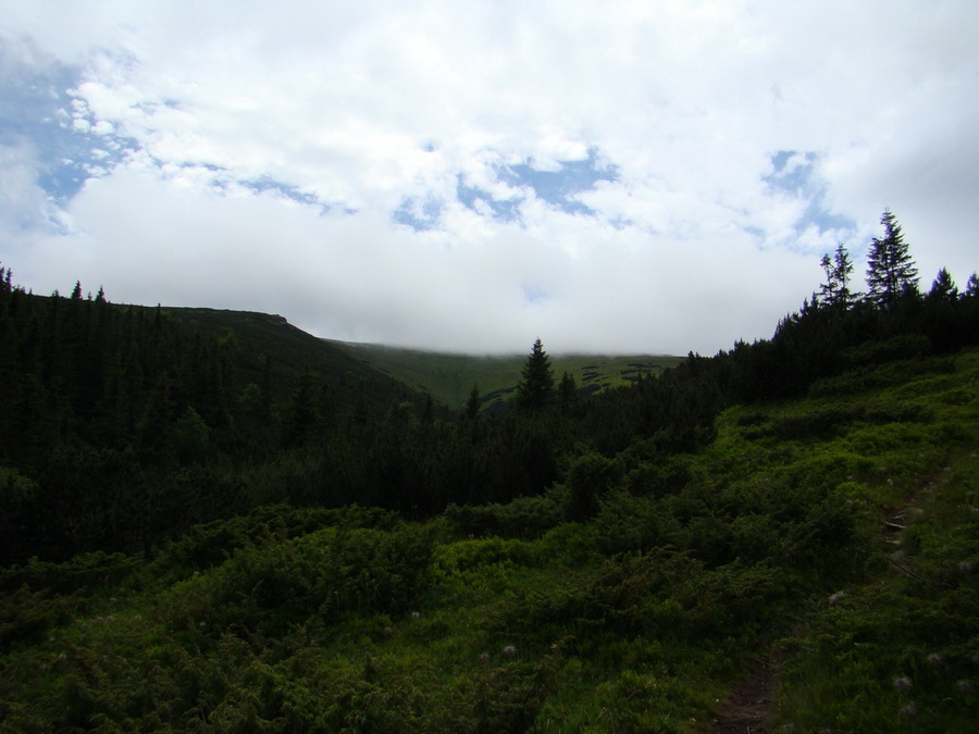 Kráľova hoľa z Vernára (Nízke Tatry)