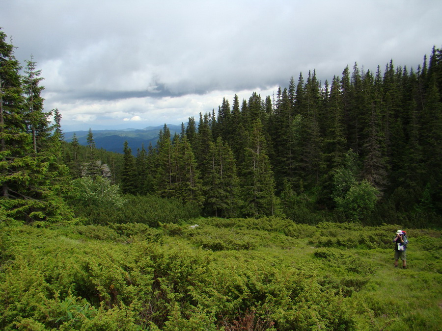 Kráľova hoľa z Vernára (Nízke Tatry)