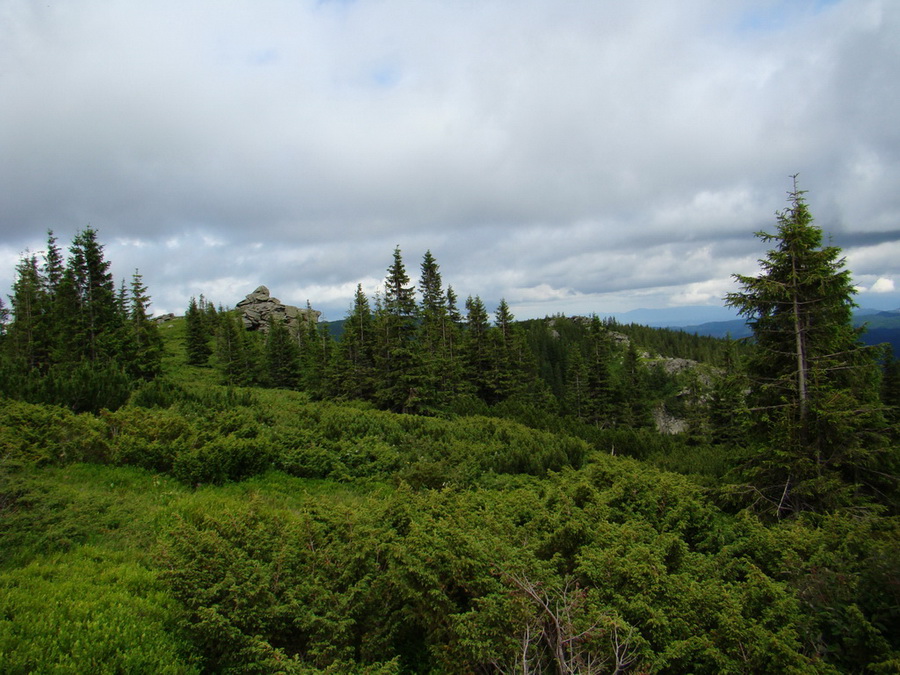 Kráľova hoľa z Vernára (Nízke Tatry)