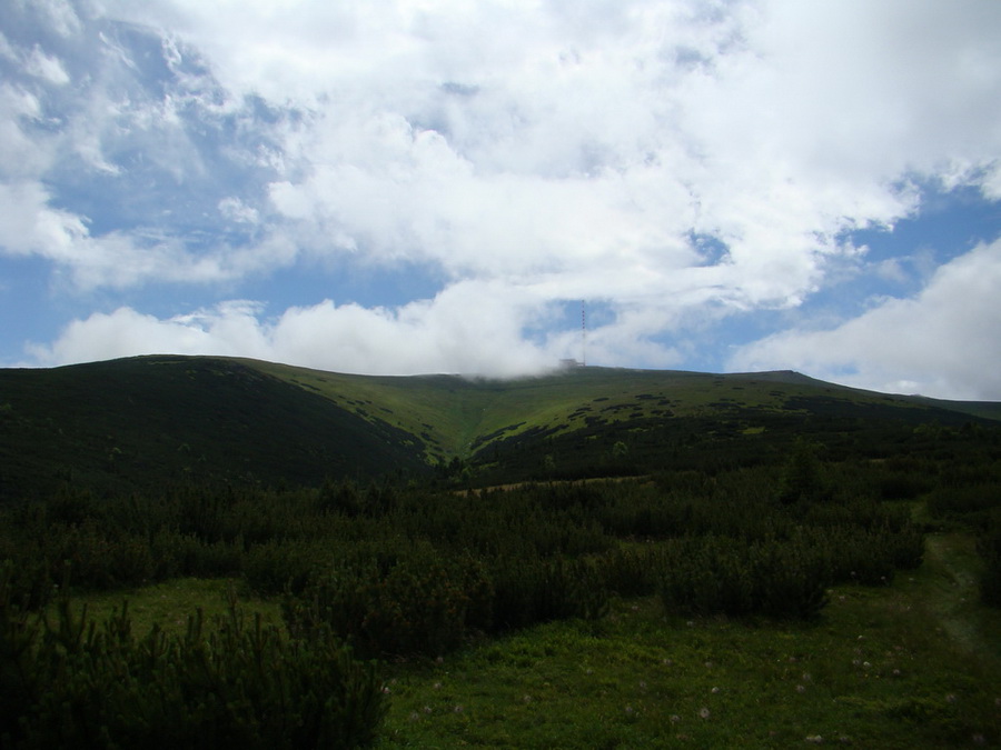 Kráľova hoľa z Vernára (Nízke Tatry)