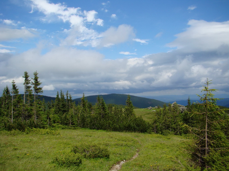 Kráľova hoľa z Vernára (Nízke Tatry)