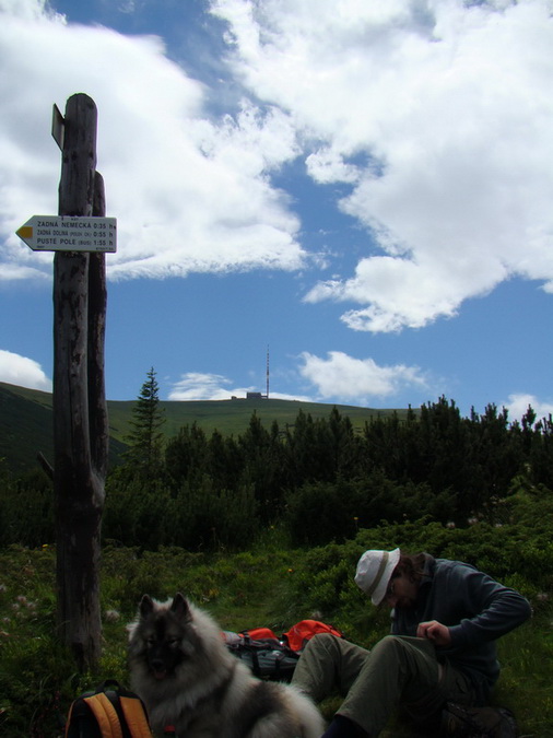 Kráľova hoľa z Vernára (Nízke Tatry)