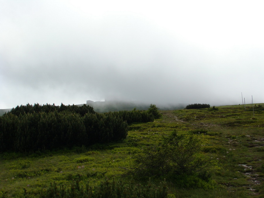 Kráľova hoľa z Vernára (Nízke Tatry)