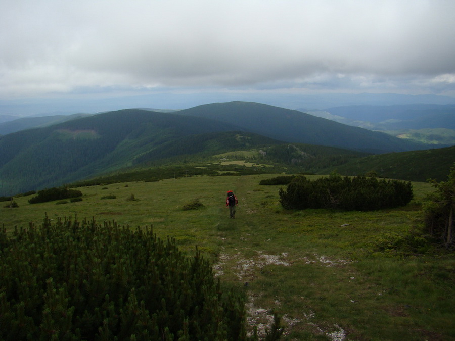 Kráľova hoľa z Vernára (Nízke Tatry)