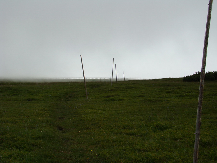 Kráľova hoľa z Vernára (Nízke Tatry)