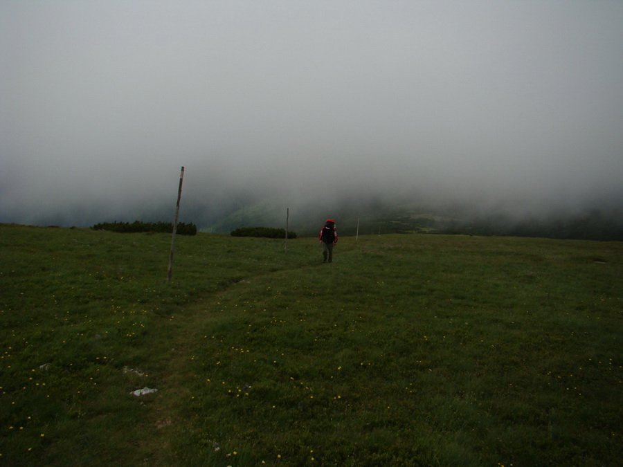 Kráľova hoľa z Vernára (Nízke Tatry)