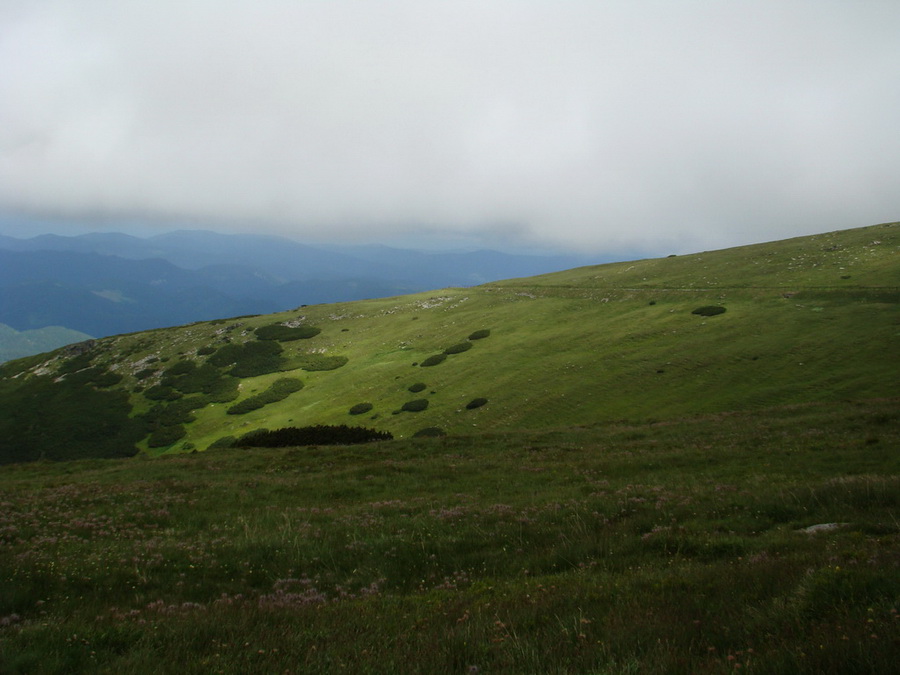 Kráľova hoľa z Vernára (Nízke Tatry)