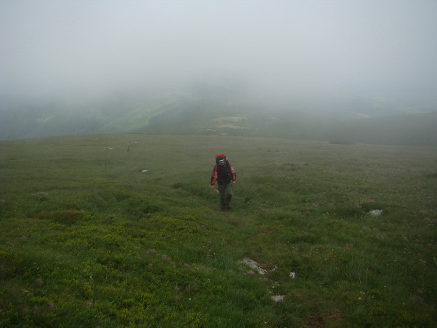 Kráľova hoľa z Vernára (Nízke Tatry)