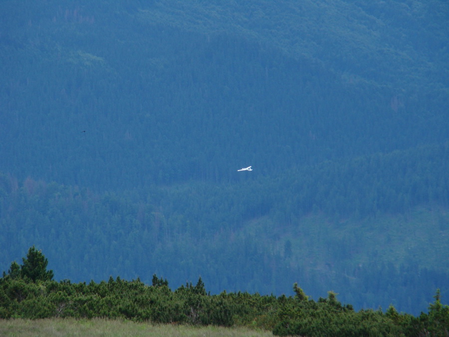 Kráľova hoľa z Vernára (Nízke Tatry)