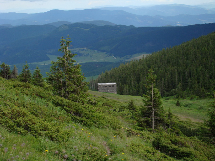 Kráľova hoľa z Vernára (Nízke Tatry)