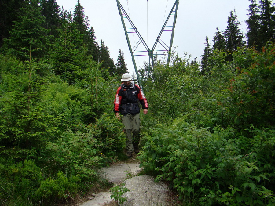 Kráľova hoľa z Vernára (Nízke Tatry)