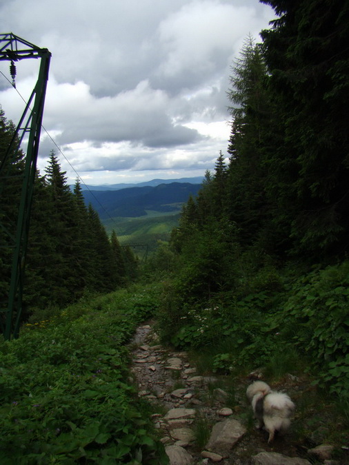 Kráľova hoľa z Vernára (Nízke Tatry)