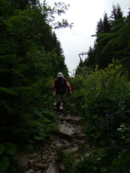 Kráľova hoľa z Vernára (Nízke Tatry)