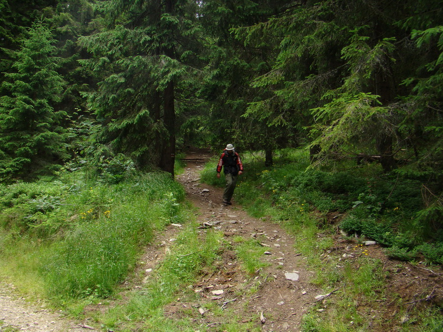 Kráľova hoľa z Vernára (Nízke Tatry)