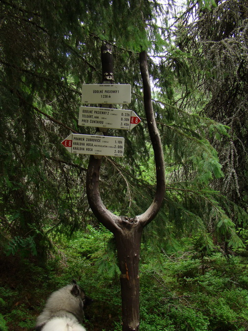 Kráľova hoľa z Vernára (Nízke Tatry)