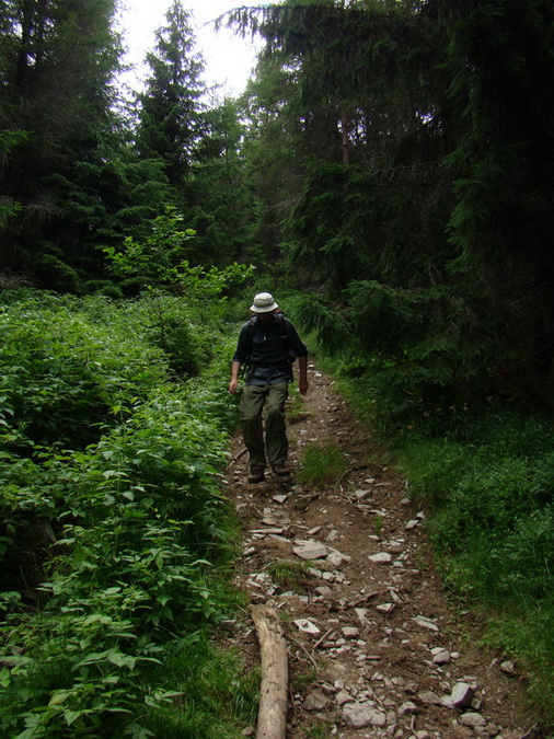 Kráľova hoľa z Vernára (Nízke Tatry)