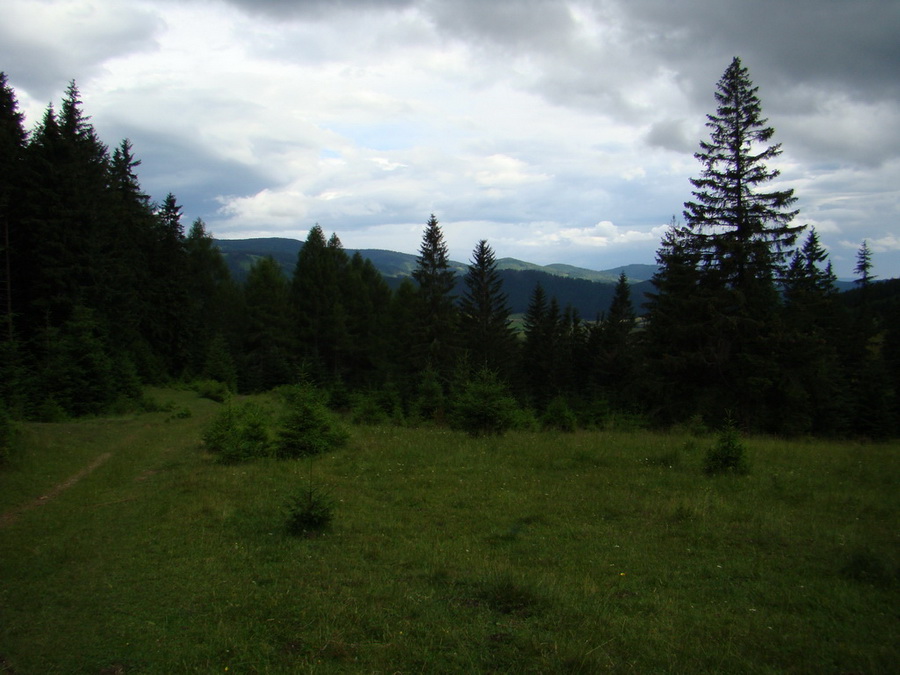 Kráľova hoľa z Vernára (Nízke Tatry)