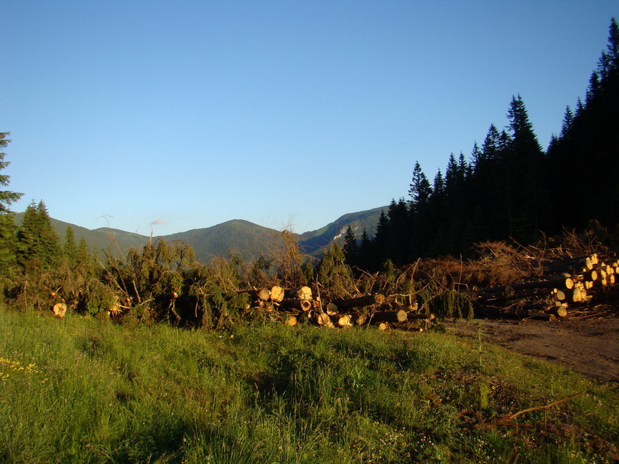 Ohnište zo Svidovského sedla (Nízke Tatry)