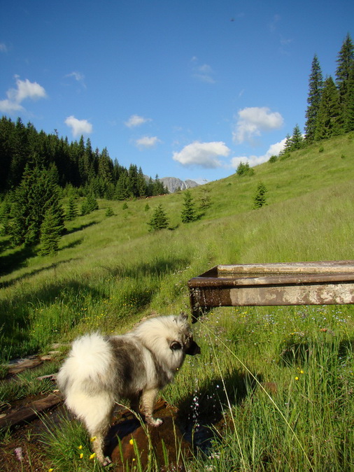 Ohnište zo Svidovského sedla (Nízke Tatry)