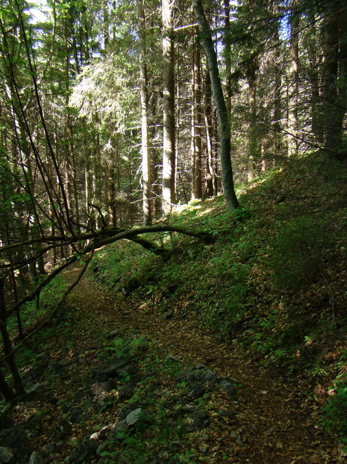 Ohnište zo Svidovského sedla (Nízke Tatry)