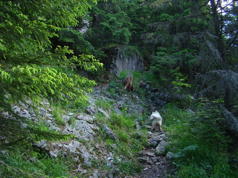 Ohnište zo Svidovského sedla (Nízke Tatry)